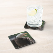 Bald Eagle Calling Bier Onderzetter (Rechterzijde)