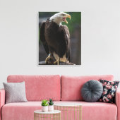 Bald Eagle Calling Canvas Afdruk (Insitu (Woonkamer))