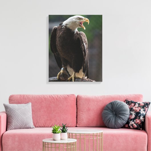 Bald Eagle Calling Canvas Afdruk (Insitu (Woonkamer))