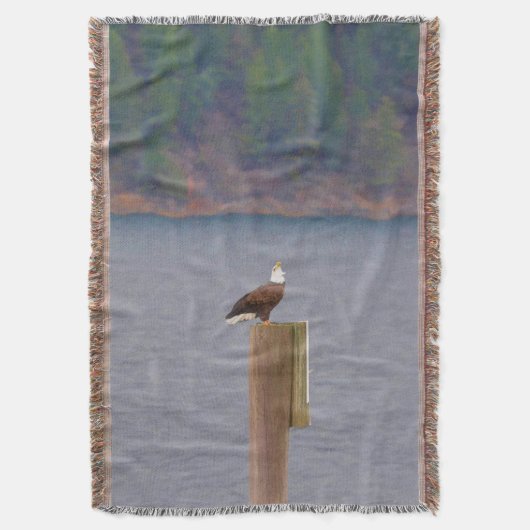 Bald Eagle Calling from a Post by Lake Deken (Voorkant Verticaal)