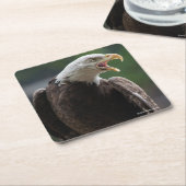 Bald Eagle Calling Kartonnen Onderzetters (Schuin)
