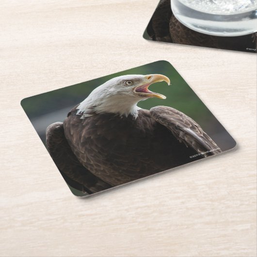 Bald Eagle Calling Kartonnen Onderzetters (Schuin)