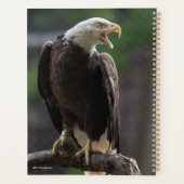 Bald Eagle Calling Planner (Achterkant)