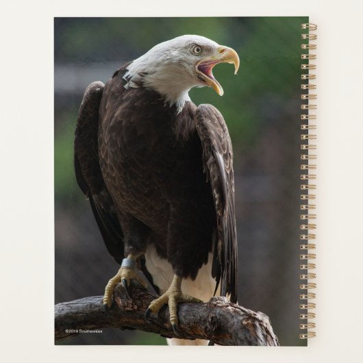 Bald Eagle Calling Planner (Achterkant)