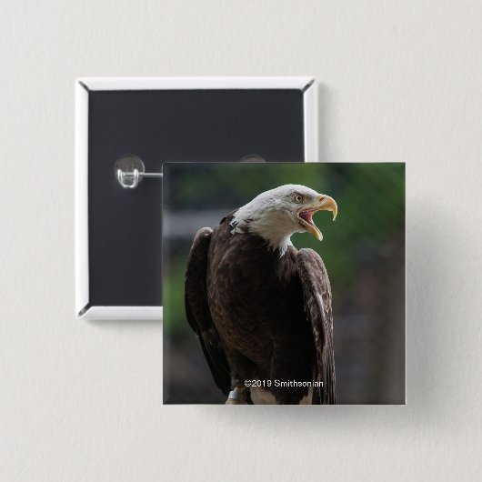 Bald Eagle Calling Vierkante Button 5,1 Cm (Voorkant /achterkant)