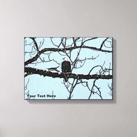 Bald Eagle Canvas Afdruk (Voorkant)