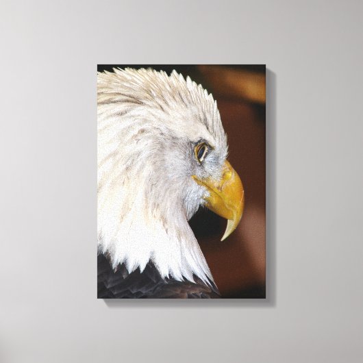Bald Eagle Canvas Afdruk (Voorkant)