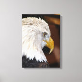 Bald Eagle Canvas Afdruk (Voorkant)