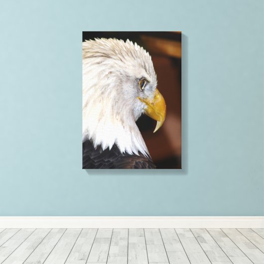 Bald Eagle Canvas Afdruk (Insitu (Houten vloer))