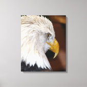 Bald Eagle Canvas Afdruk (Voorkant)