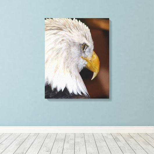 Bald Eagle Canvas Afdruk (Insitu (Houten vloer))