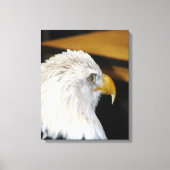 Bald Eagle Canvas Afdruk (Voorkant)