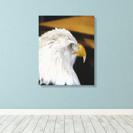 Bald Eagle Canvas Afdruk (Insitu (Houten vloer))