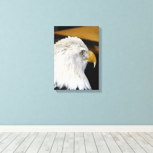 Bald Eagle Canvas Afdruk (Insitu (Houten vloer))
