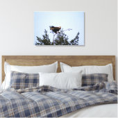 Bald Eagle Canvas Afdruk (Insitu (Slaapkamer))