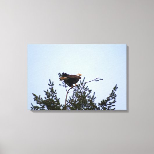 Bald Eagle Canvas Afdruk (Voorkant)