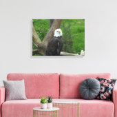 Bald Eagle Canvas Afdruk (Insitu (Woonkamer))