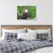 Bald Eagle Canvas Afdruk (Insitu (Slaapkamer))