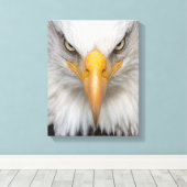 Bald eagle canvas afdruk (Insitu (Houten vloer))
