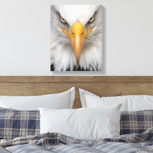 Bald eagle canvas afdruk (Insitu (Slaapkamer))