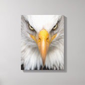 Bald eagle canvas afdruk (Voorkant)
