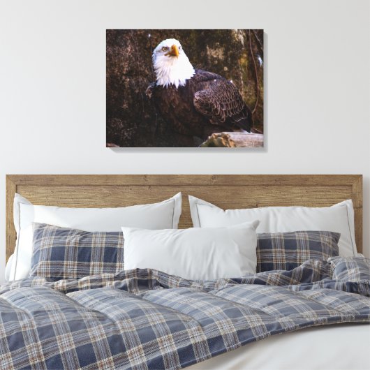 Bald Eagle Canvas Afdruk (Insitu (Slaapkamer))