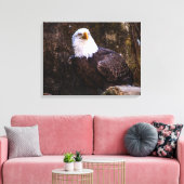 Bald Eagle Canvas Afdruk (Insitu (Woonkamer))