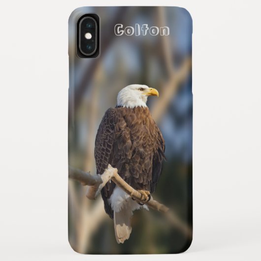 Bald Eagle Case-Mate iPhone Case (Achterkant)