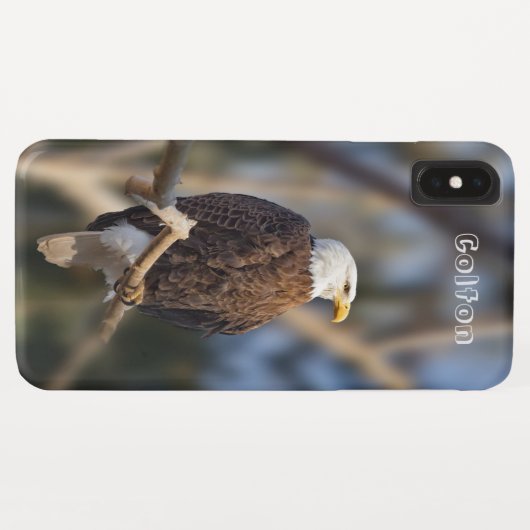 Bald Eagle Case-Mate iPhone Case (Achterkant (horizontaal))