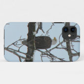 Bald Eagle Case-Mate iPhone Case (Achterkant (horizontaal))