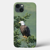 Bald Eagle Case-Mate iPhone Case (Achterkant)