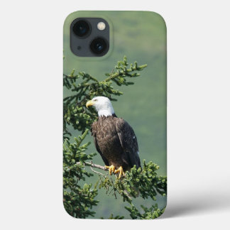 Bald Eagle iPhone 13 Hoesje