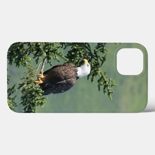 Bald Eagle Case-Mate iPhone Case (Achterkant (horizontaal))