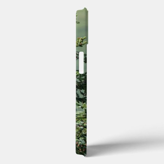 Bald Eagle Case-Mate iPhone Case (Achterkant / Rechts)