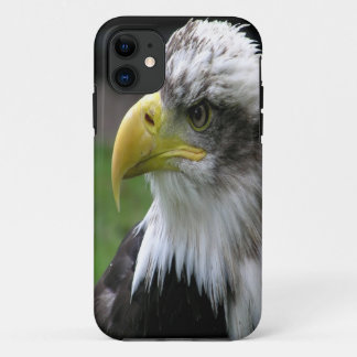 Bald Eagle Case-Mate iPhone Case
