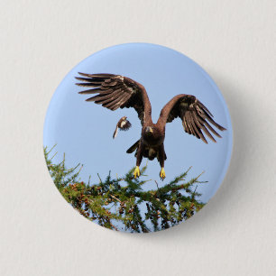 Bald Eagle Chased door een spotvogel Ronde Button 5,7 Cm