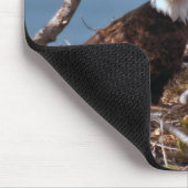 Bald Eagle Chicks - Mousepad Muismat (Hoek)