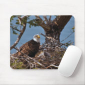 Bald Eagle Chicks - Mousepad Muismat (Met muis)