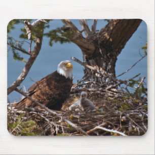 Bald Eagle Chicks - Mousepad Muismat