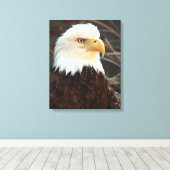 Bald Eagle Closeup Canvas Afdruk (Insitu (Houten vloer))