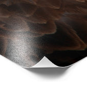 Bald Eagle Closeup Foto Afdruk (Hoek)