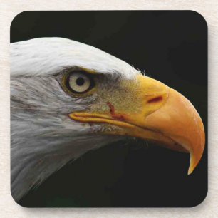 Bald Eagle coastercn Bier Onderzetter