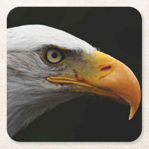 Bald Eagle coastercn Kartonnen Onderzetters