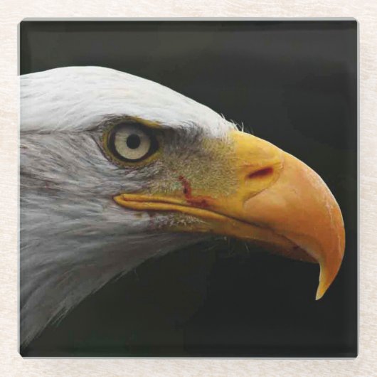 Bald Eagle coastercna Glazen Onderzetter (Voorkant)