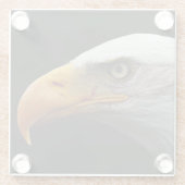 Bald Eagle coastercna Glazen Onderzetter (Achterkant)