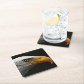 Bald Eagle coastercna Kartonnen Onderzetters (Insitu)