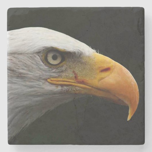 Bald Eagle coastercna Stenen Onderzetter (Voorkant)