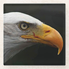 Bald Eagle coastercnm Glazen Onderzetter