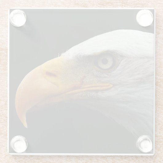 Bald Eagle coastercnm Glazen Onderzetter (Achterkant)