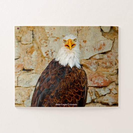 Bald Eagle Colorado Legpuzzel (Horizontaal)